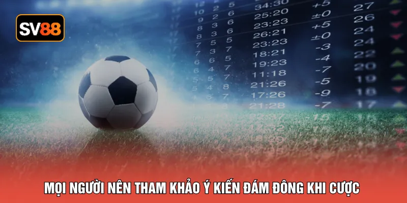 Mọi người nên tham khảo ý kiến đám đông khi cược