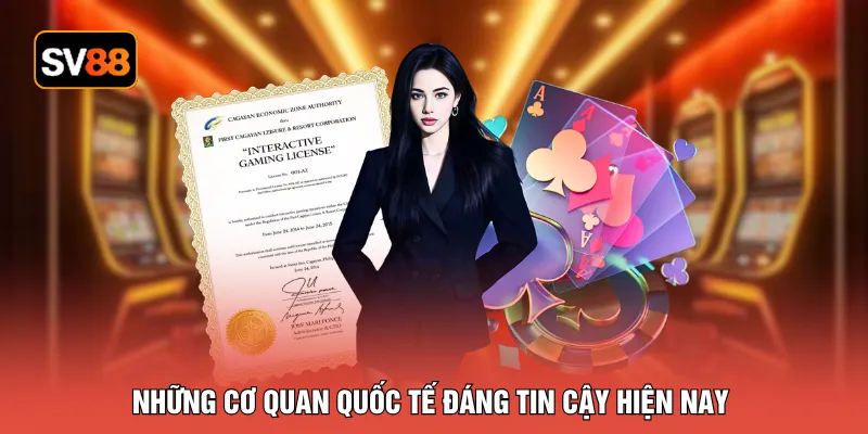 Những cơ quan quốc tế đáng tin cậy hiện nay