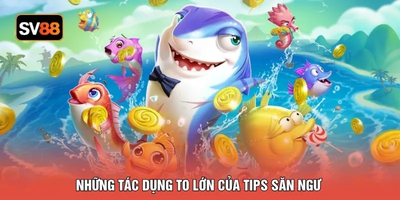 Những tác dụng to lớn của tips săn ngư